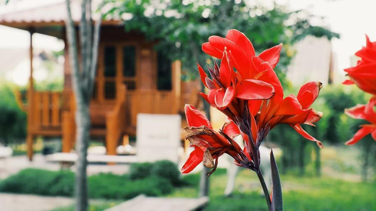 บ้านสวนมีดี ลำพูน Meedee Homestay Lamphun Ban Nong Pla Kho Εξωτερικό φωτογραφία
